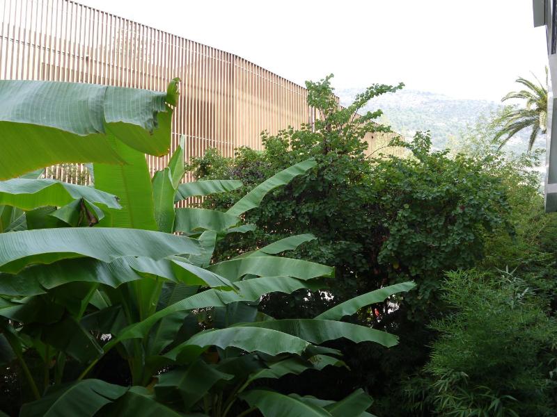 Twin Room with Garden View image 3