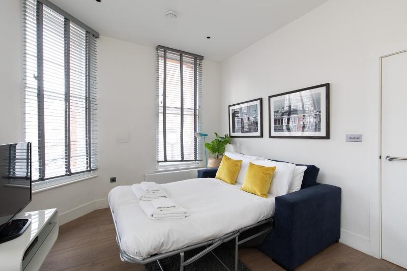 One-Bedroom Apartment image 2