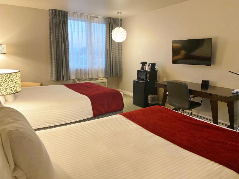 Standard Double Room image 3