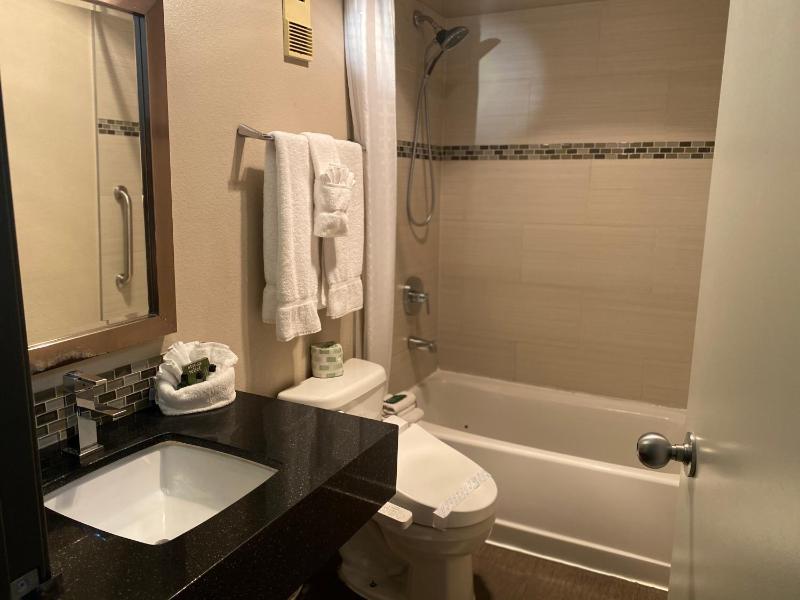 Standard King Room image 3