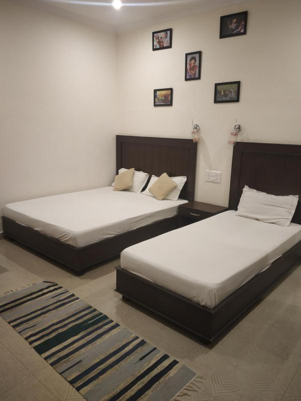 Standard Triple Room image 1