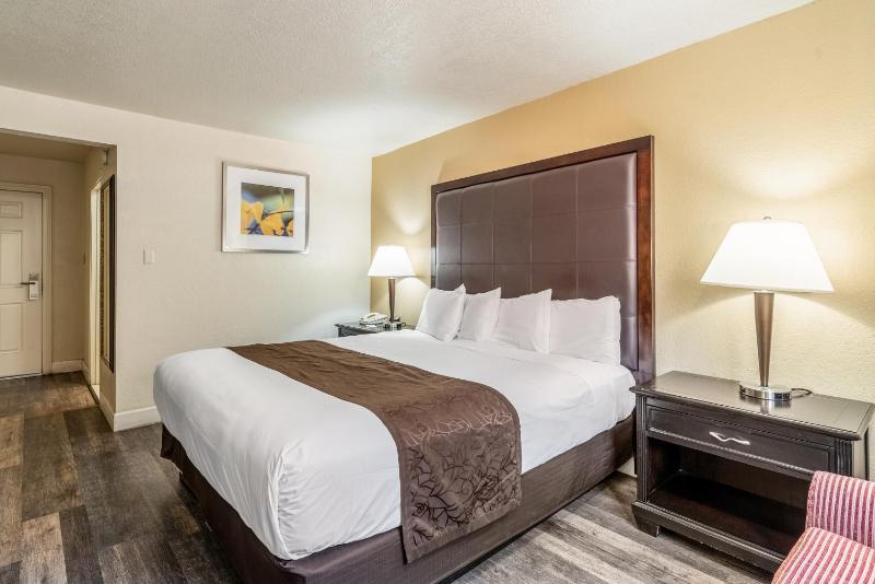 Standard King Room image 4