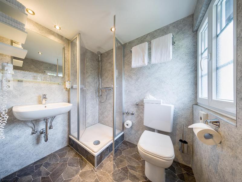 Single Room image 1
