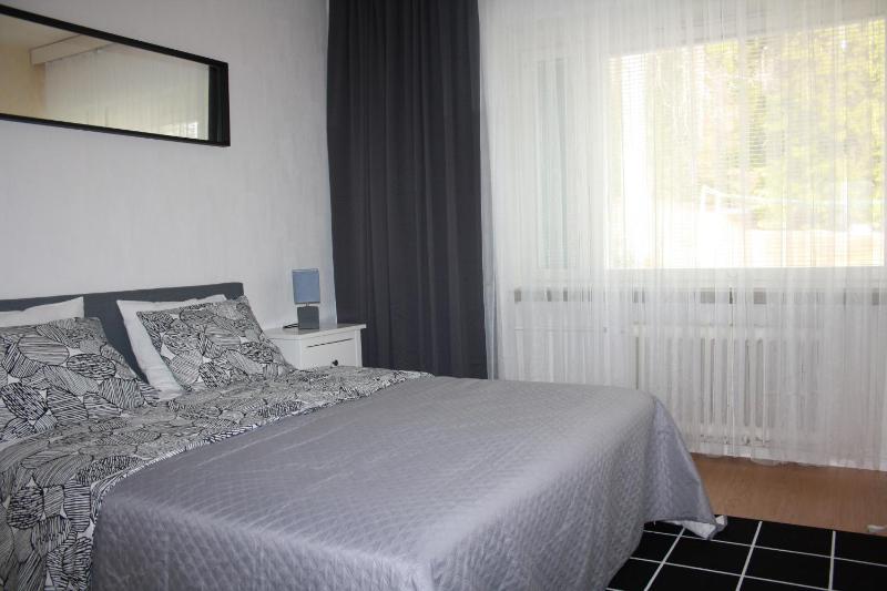 One-Bedroom Apartment image 2