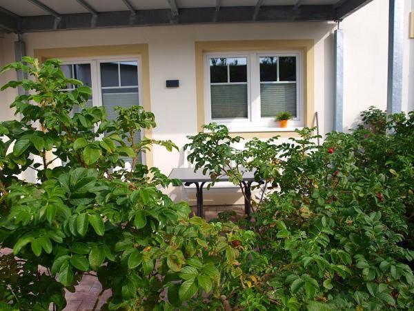 Apartment with Terrace image 4