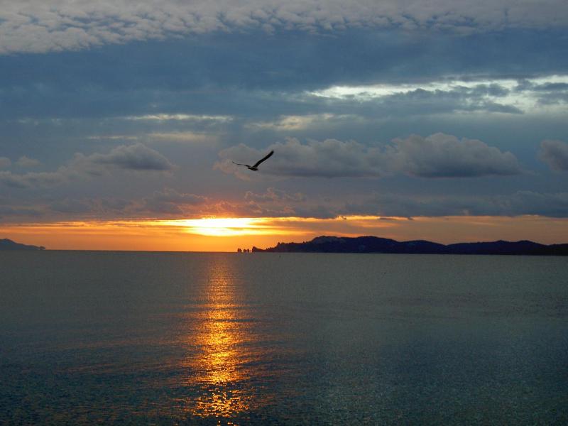 Hôtel Lido Beach - image 16