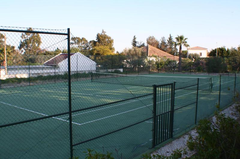 Vitor s Plaza Mariosilvat - image 47