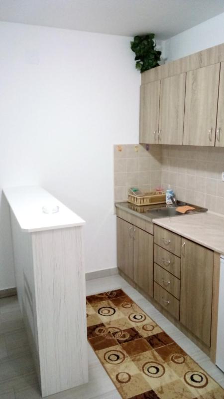 One-Bedroom Apartment image 4