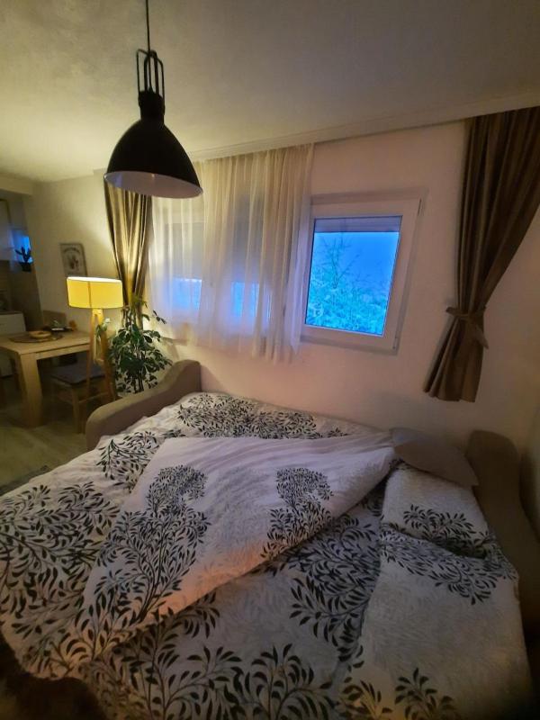 Apartment - Ground Floor image 3