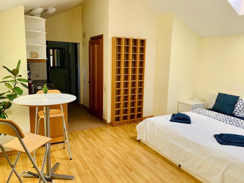 One-Bedroom Apartment image 2