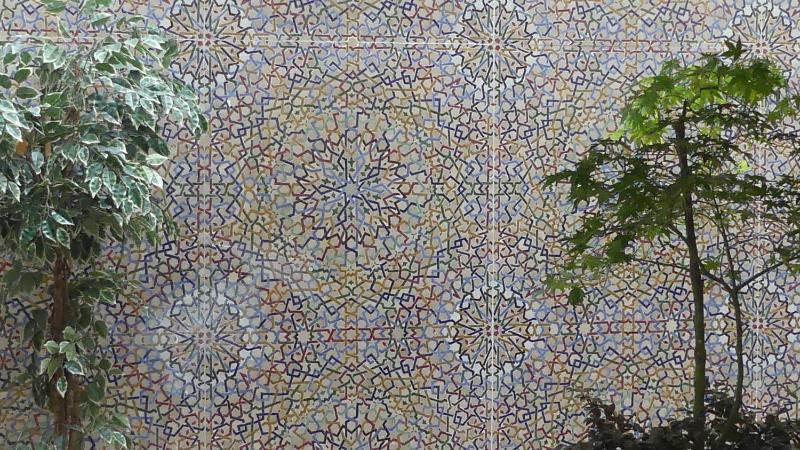 Small Single Room image 2