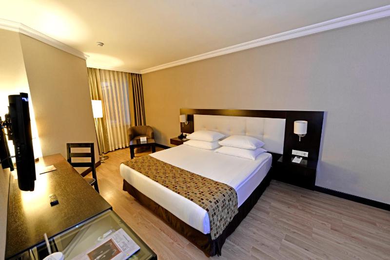 Deluxe Double Room image 3