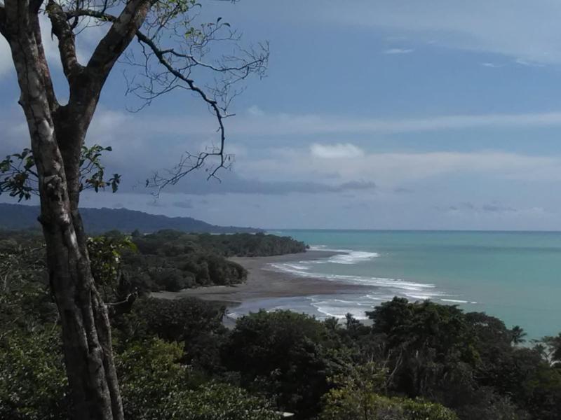 TREEHOUSE PILON PAVONES - image 12