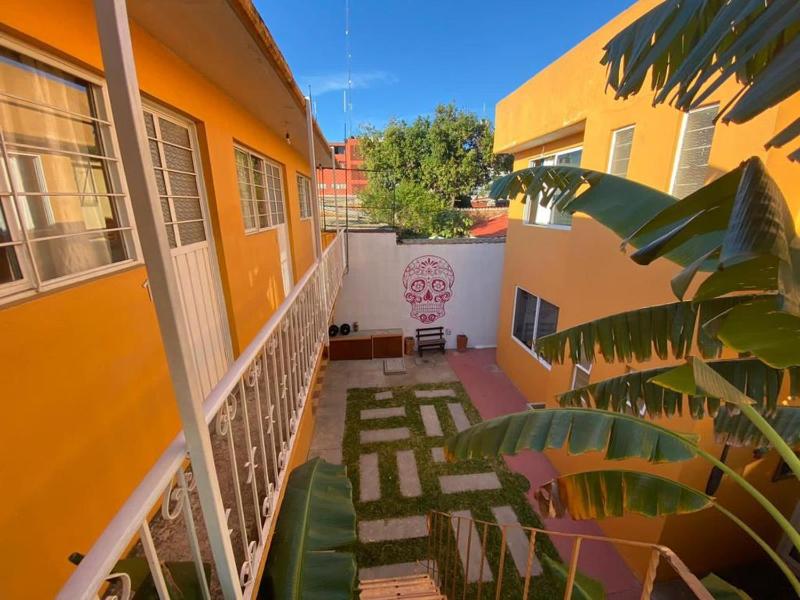 Los Nardos Hostel -pet friendly- - image 4
