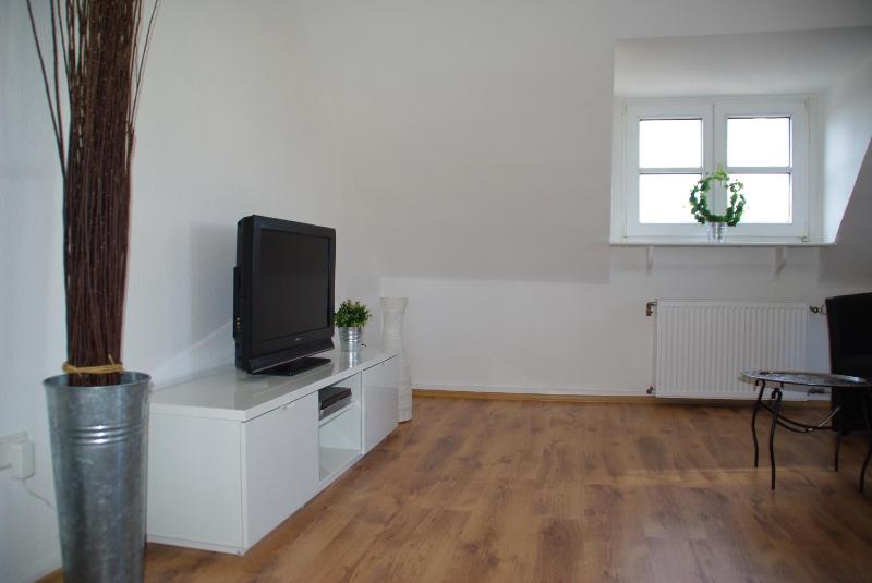 One-Bedroom Apartment image 3