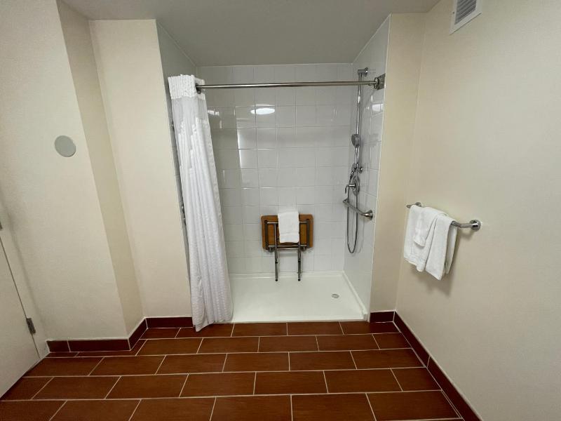 King Room - Hearing Accessible - Roll-in Shower image 1
