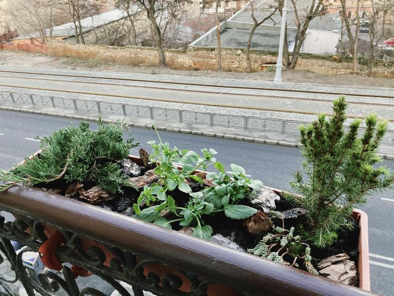Apartment - Split Level with Balcony image 3