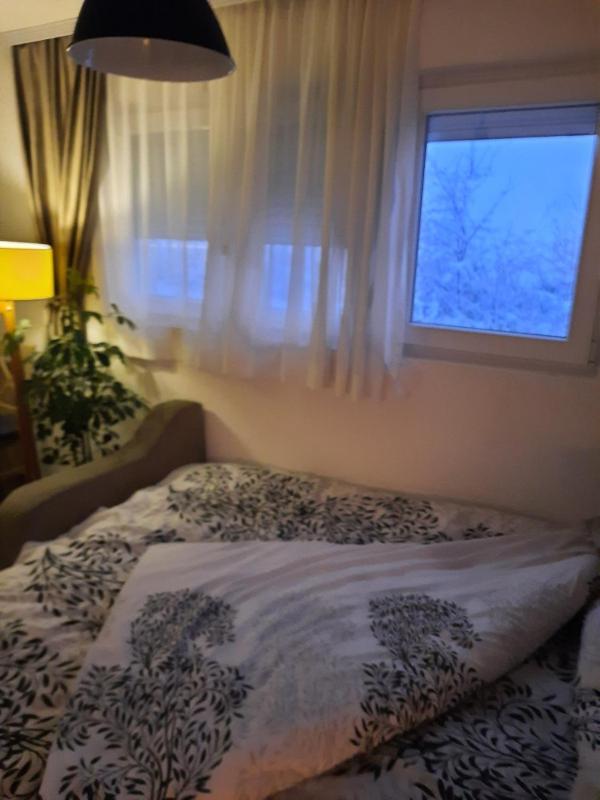 Apartment - Ground Floor image 4
