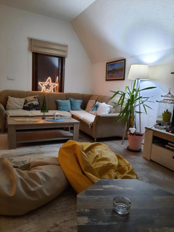 One-Bedroom Apartment image 4