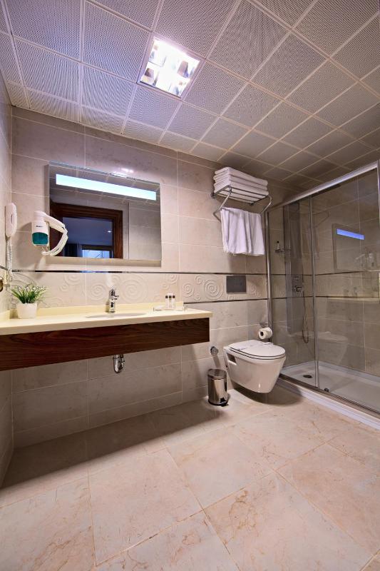 Deluxe Suite image 2