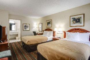 Room #49064105 image 1