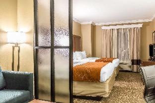 Queen Suite - Non Smoking/Pet Friendly image 4