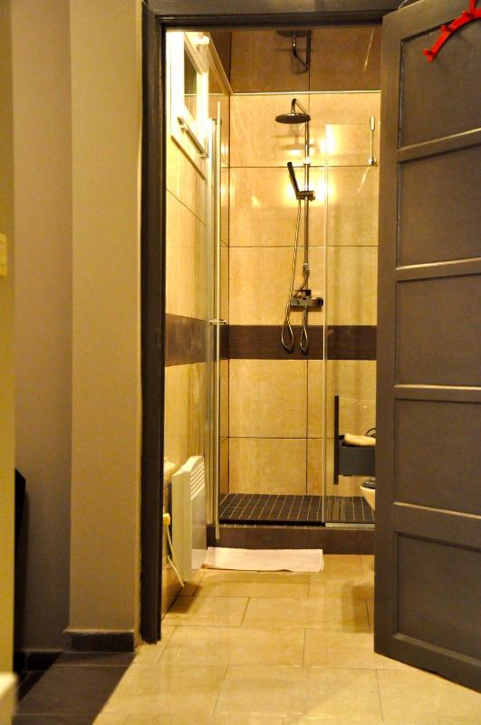 Apartment with Shower image 4