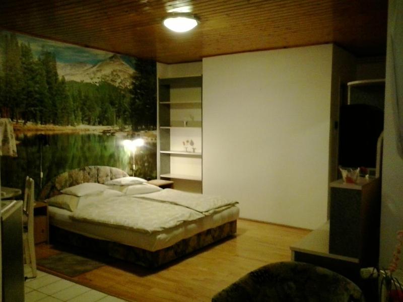 Studio with Balcony image 1