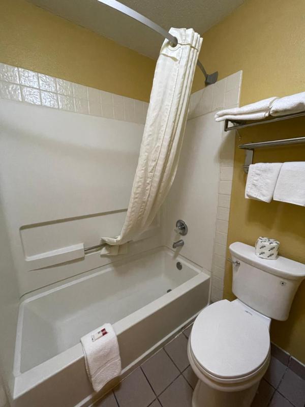 SK1 Deluxe King Suite image 2