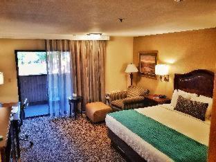 Room #35666125 image 3