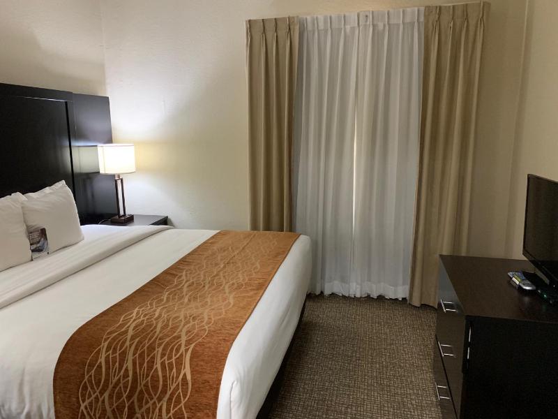 Business King Suite with Sofa Bed - Non-Smoking image 4