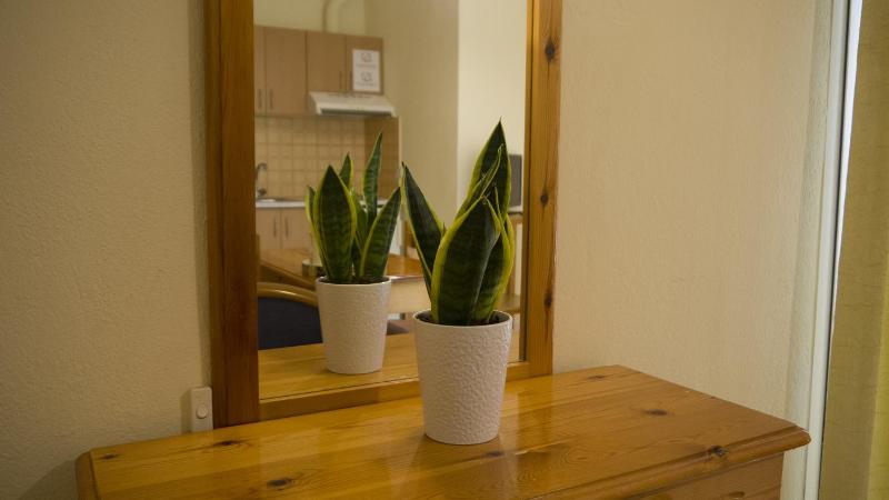 Basic Studio (2 Adults) image 4