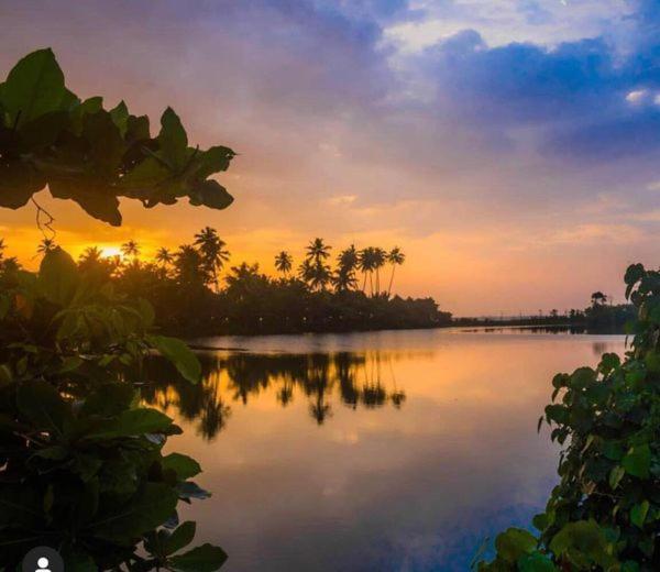 Turtle Paradise Villa - image 27