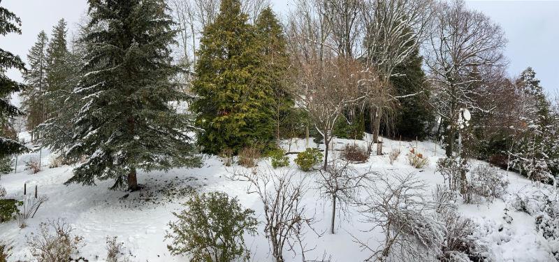 Double Room with Garden View image 3