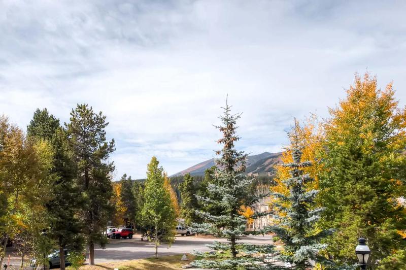 Corral at Breckenridge Blue Jay Condo: Walk to Town / Lifts - image 5