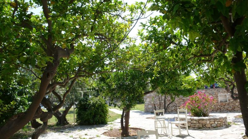 Hotel Anezina - image 2