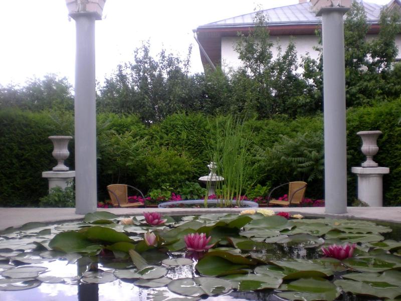 Superior Villa image 2