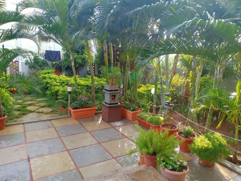 Mango Tree Homestay - image 3
