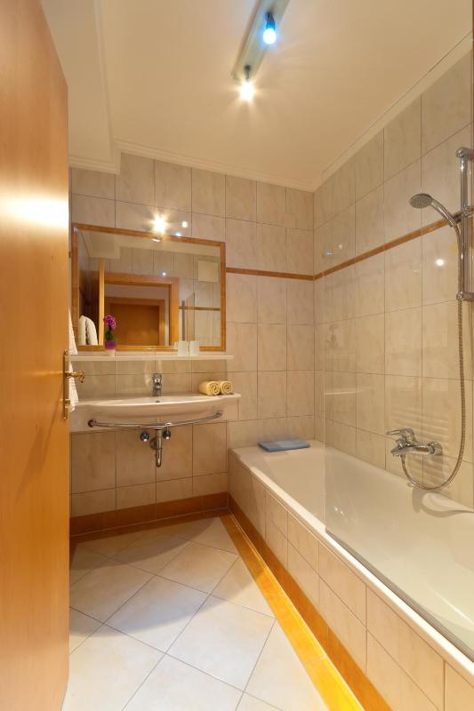 One-Bedroom Apartment image 1