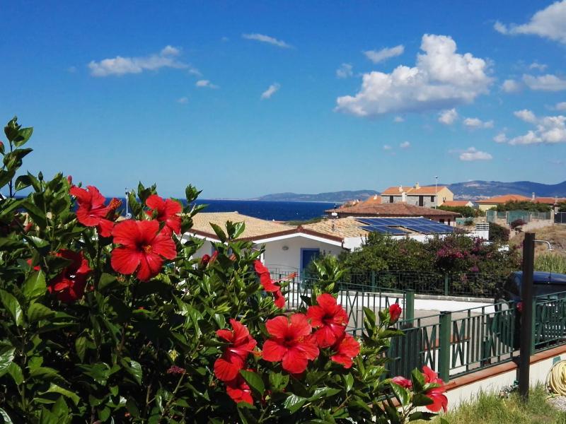 Apartment - Split Level with Garden and Sea View image 1