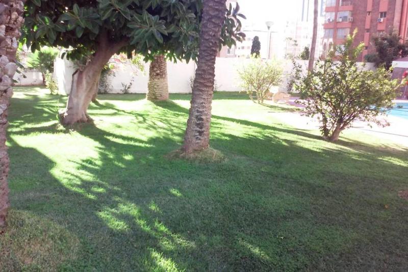 Apartamento Alteanos centrico y confortable soleado con piscina y jardines tenis parking exterior comunitario y la playa a - image 26