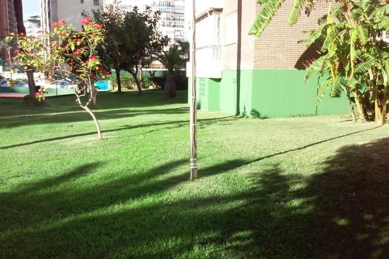 Apartamento Alteanos centrico y confortable soleado con piscina y jardines tenis parking exterior comunitario y la playa a - image 8