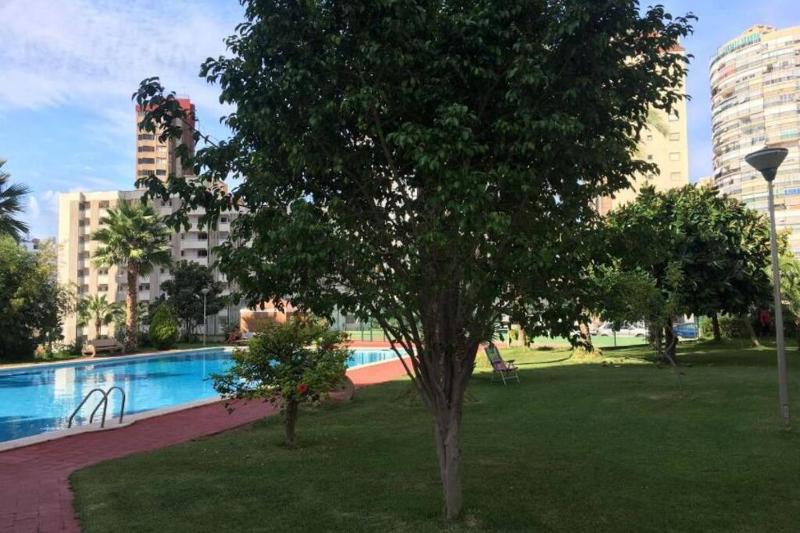 Apartamento Alteanos centrico y confortable soleado con piscina y jardines tenis parking exterior comunitario y la playa a - image 9