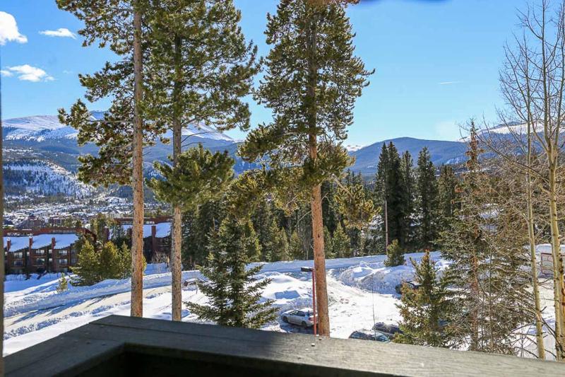 Grandview Condo: Nice Peak 8 Location - image 23