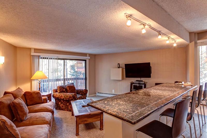 Peak 8 Village Hideaway Condo: On Shuttle Route - image 6