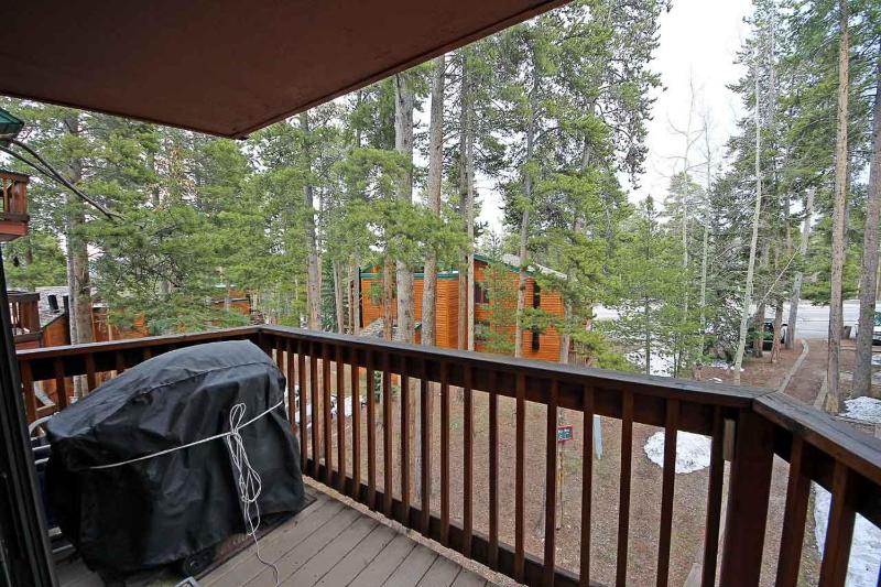 Peak 8 Village Hideaway Condo: On Shuttle Route - image 11