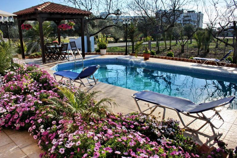 Villa Paradise - image 11