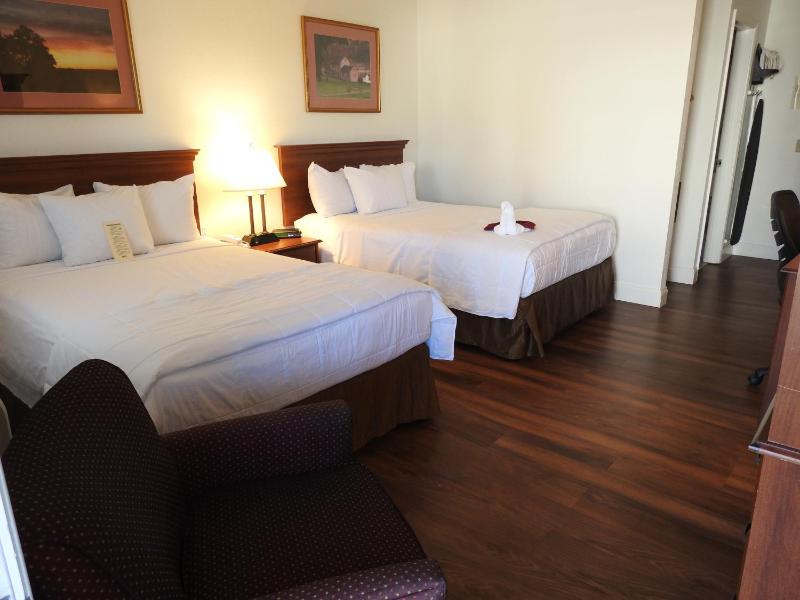 Standard Room with Two Double Beds- Pet Friendly image 4