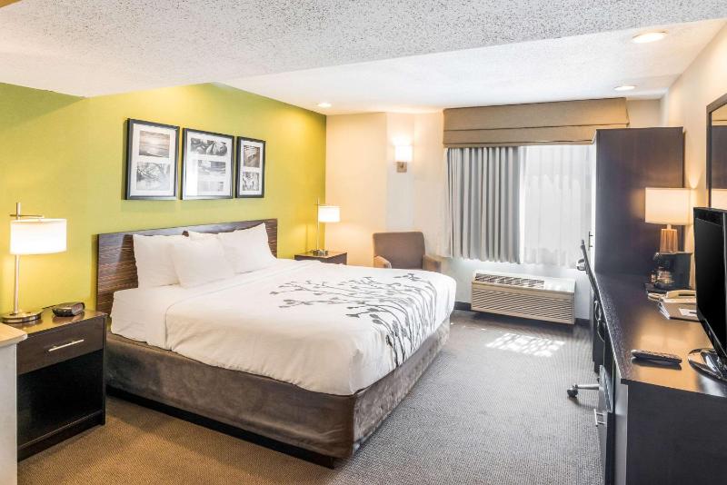 King Suite image 1