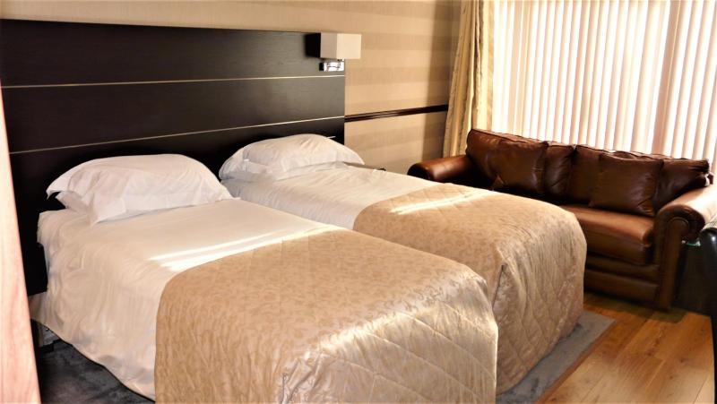 Luxury Twin Room image 1